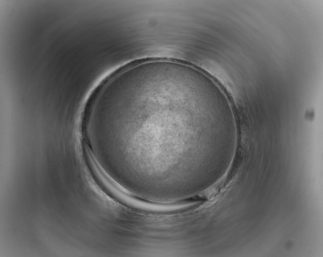 X0000097921120200803211521