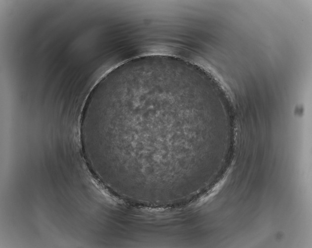 X0000097921121200803211521