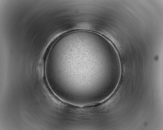 X0000097921123200803211521