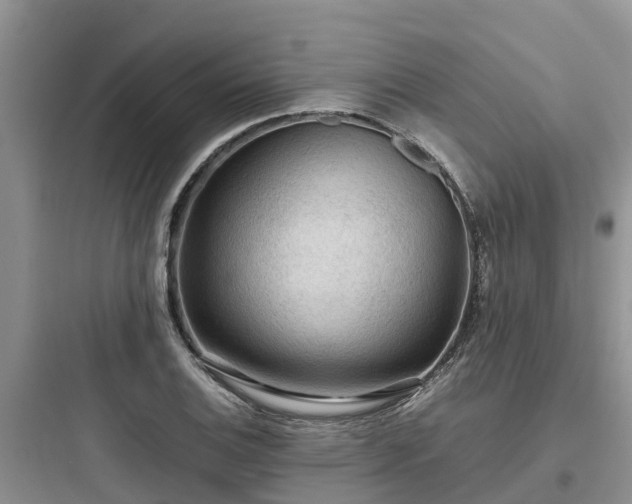 X0000097921124200803211521