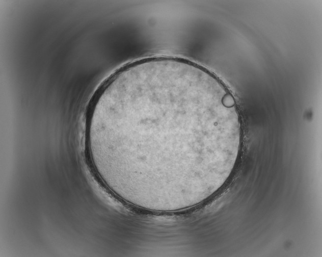 X0000097921126200803211521