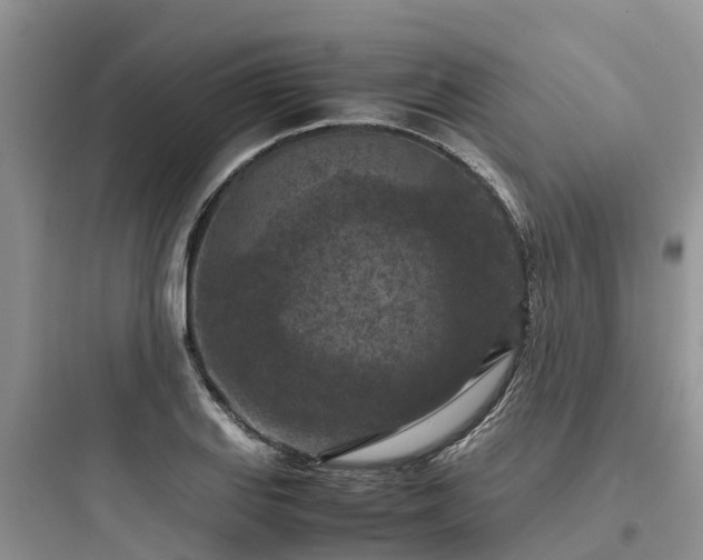 X0000097921127200803211521