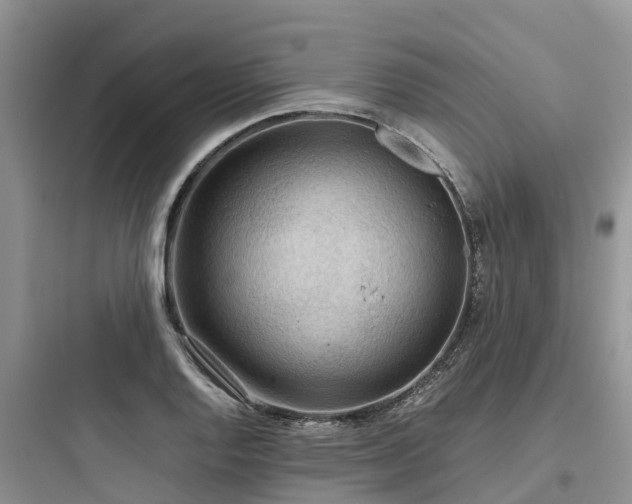 X0000097921128200803211521
