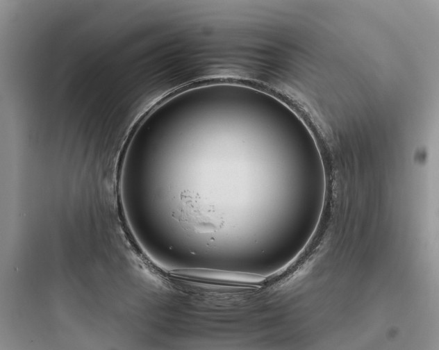 X0000097921129200803211521