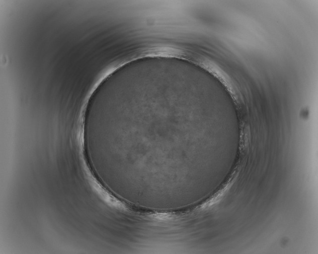 X0000097921130200803211521