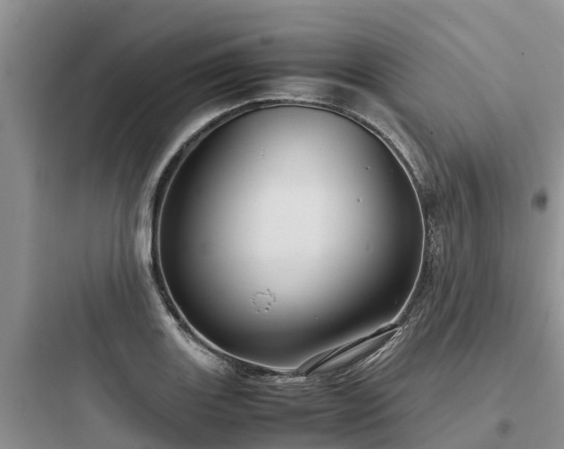 X0000097921131200803211521