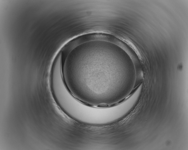 X0000097921132200803211521