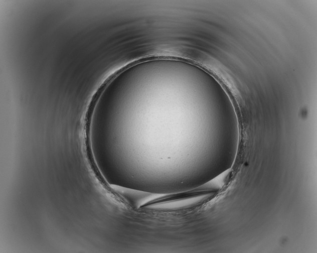 X0000097921133200803211521