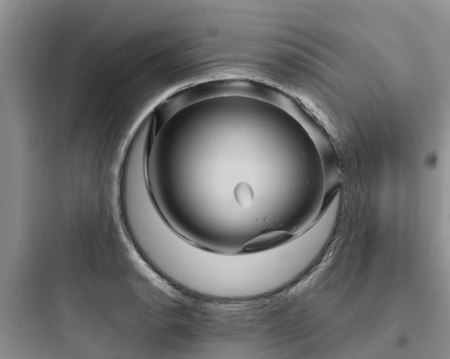 X0000097921134200803211521