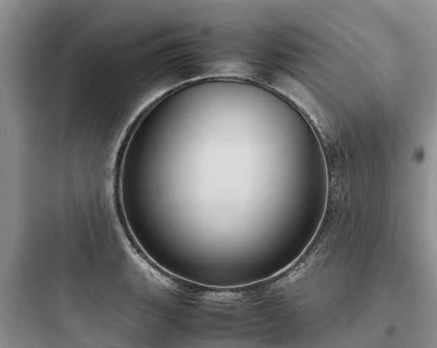 X0000097921135200803211521