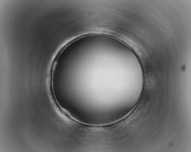 X0000097921136200803211521