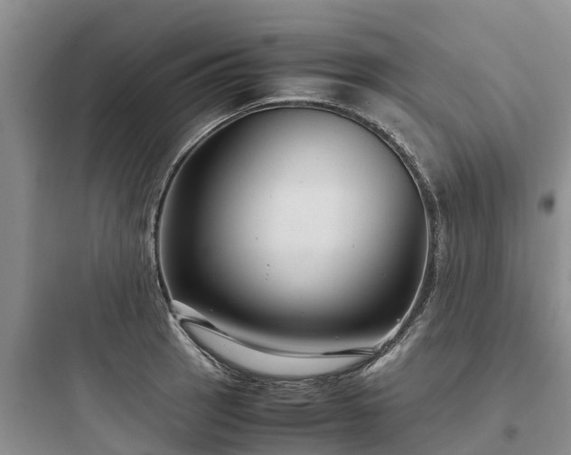 X0000097921137200803211521