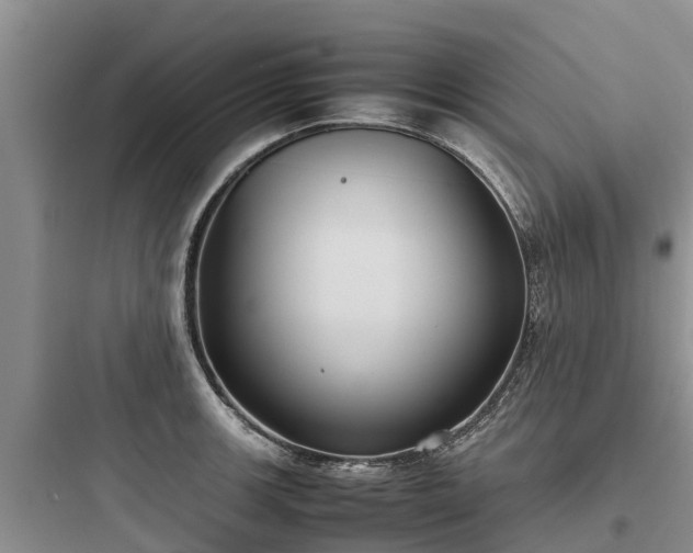 X0000097921139200803211521