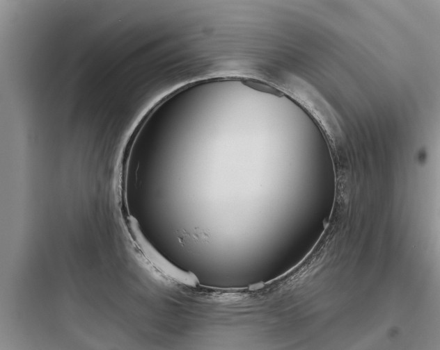 X0000097921140200803211521