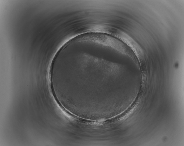X0000097921141200803211521