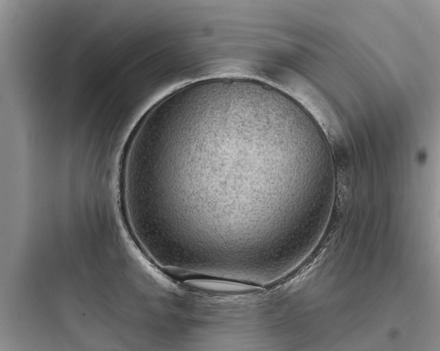 X0000097921142200803211522