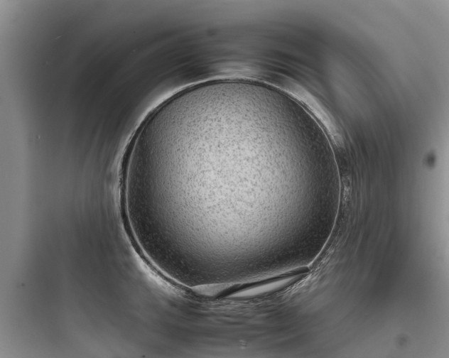 X0000097921143200803211522