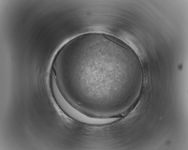X0000097921144200803211522