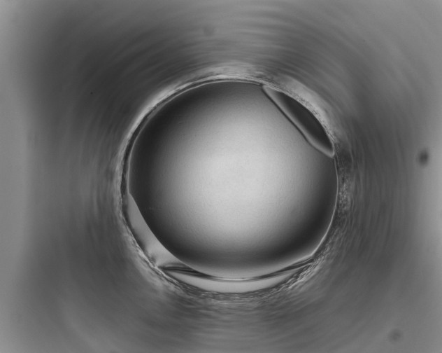 X0000097921146200803211522