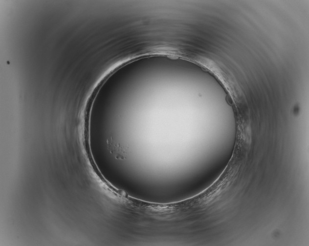 X0000097921147200803211522
