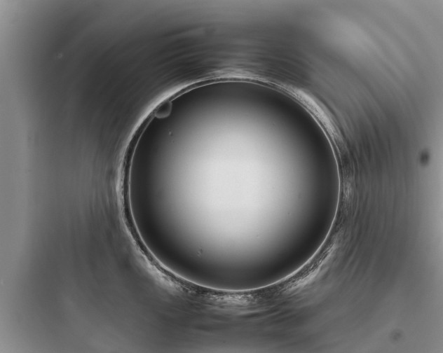 X0000097921149200803211522