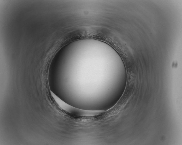 X0000097921153200803211521