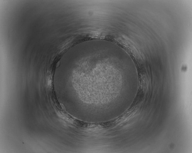 X0000097921154200803211521