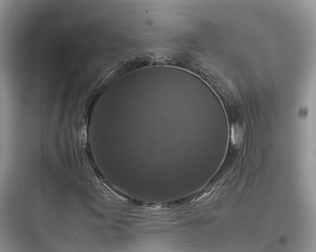 X0000097921155200803211521