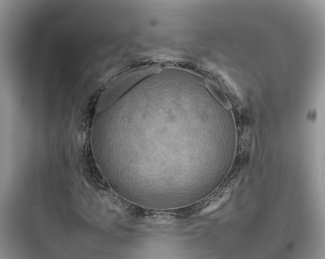 X0000097921157200803211521