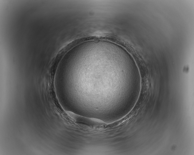 X0000097921158200803211521