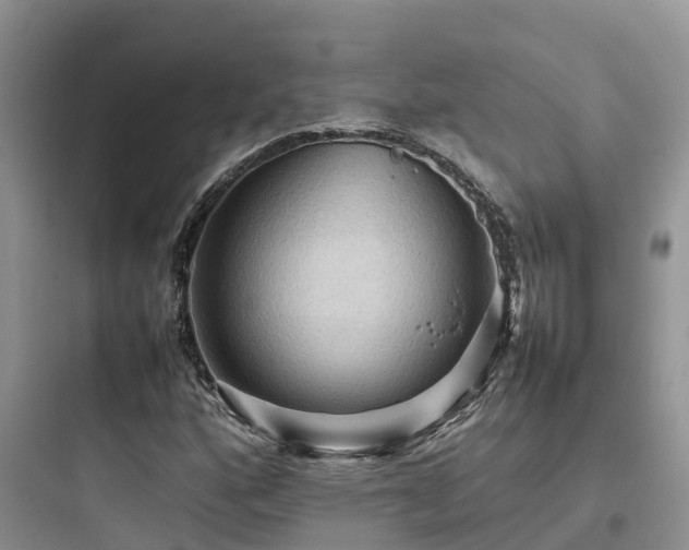 X0000097921160200803211521