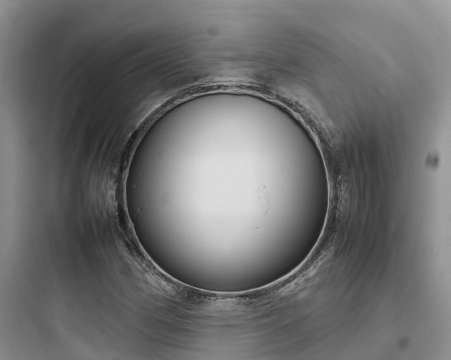 X0000097921162200803211521