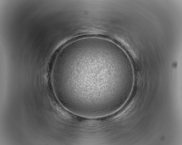X0000097921163200803211521