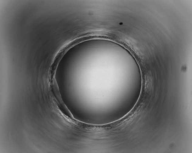 X0000097921164200803211521