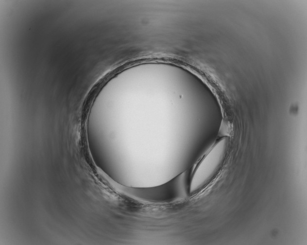 X0000097921165200803211521