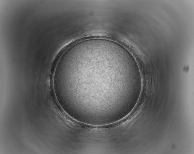 X0000097921166200803211521
