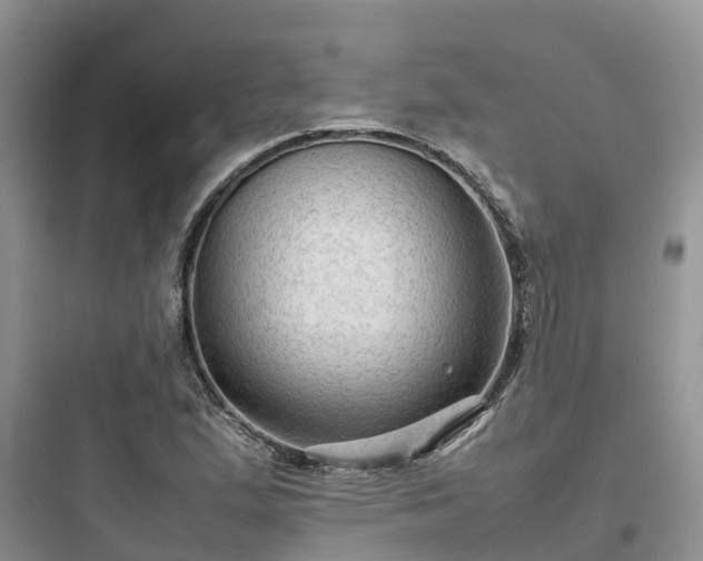 X0000097921167200803211521