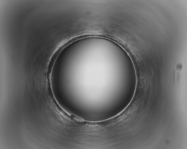 X0000097921168200803211521
