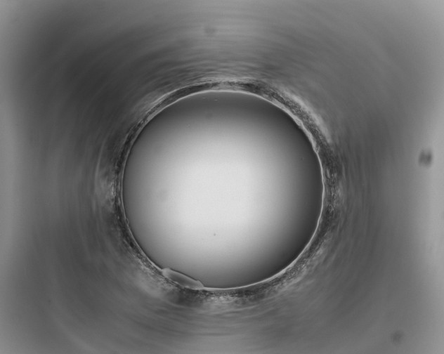 X0000097921169200803211521