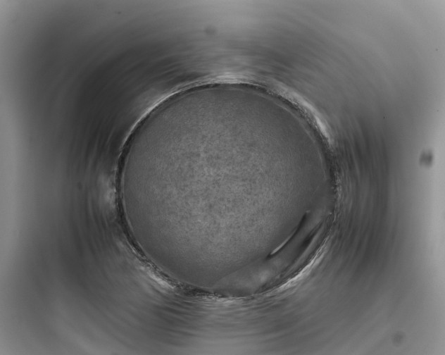 X0000097921170200803211521
