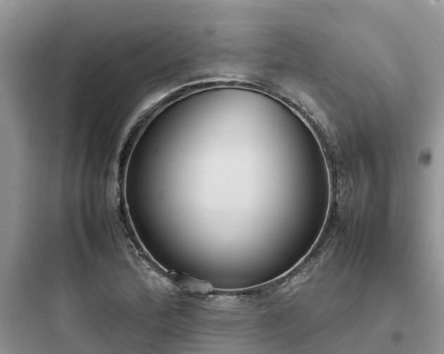X0000097921172200803211521