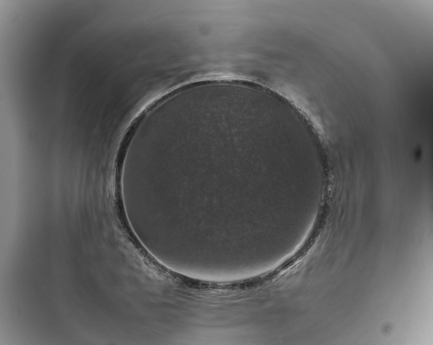 X0000097921173200803211521