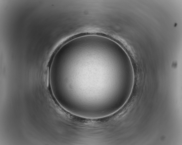 X0000097921175200803211521