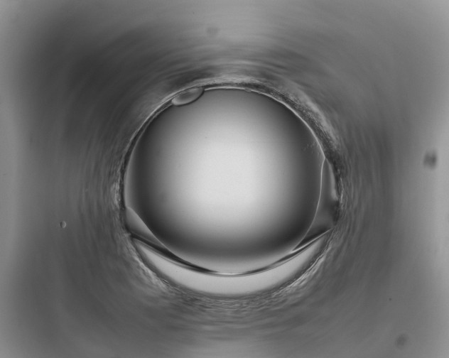 X0000097921177200803211521