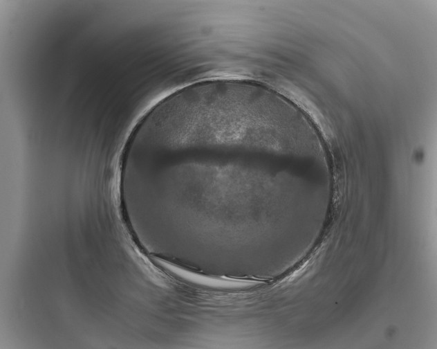 X0000097921179200803211521