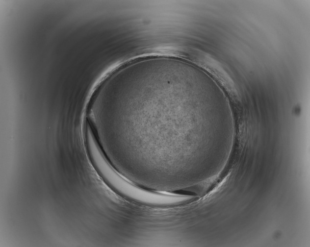 X0000097921180200803211521