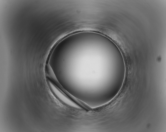 X0000097921181200803211521