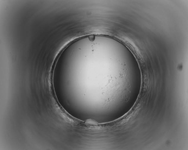 X0000097921182200803211521