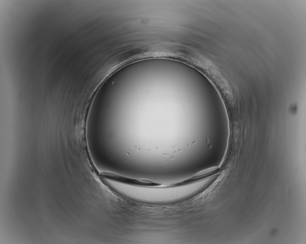 X0000097921185200803211521