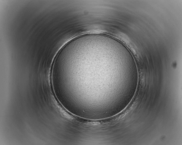 X0000097921186200803211521